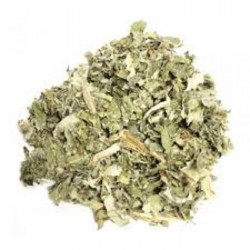 Carciofo Foglie