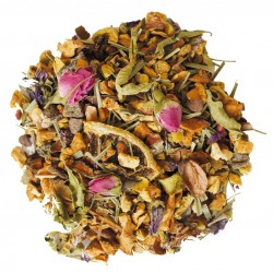 Infuso Fantasia Invernale