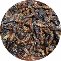 Peperoncino di Cayenna Intero