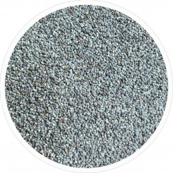 Semi di Papavero