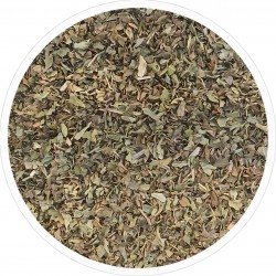 Menta