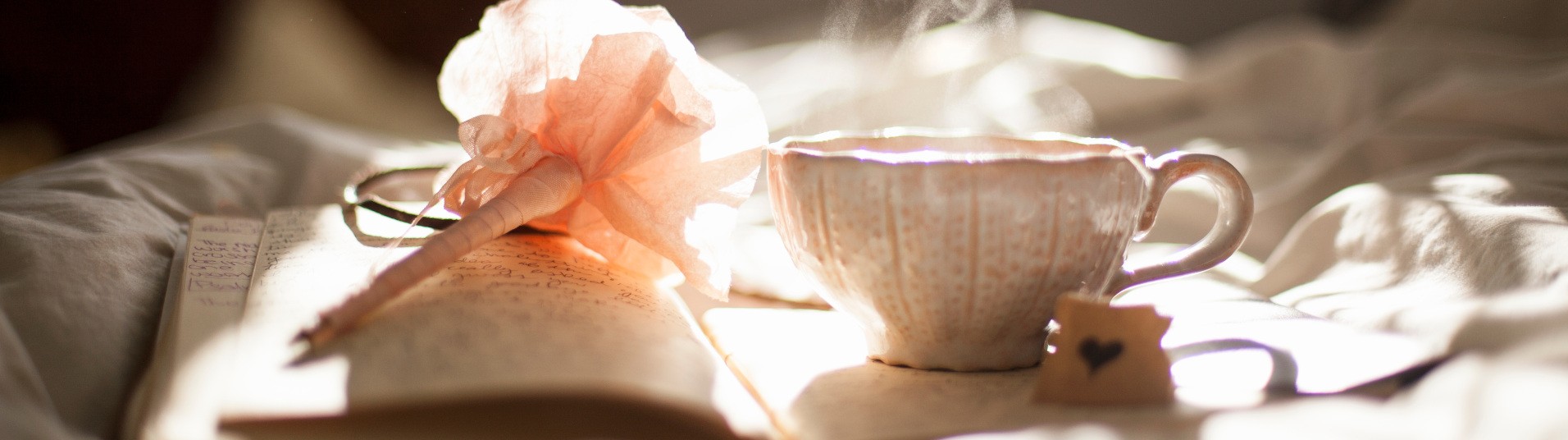Vendita tisane